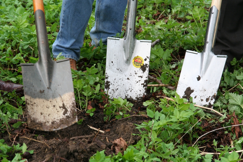 pepiniere-GOURDON-min_work-lawn-flower-tool-green-backyard-1103633-pxhere.com